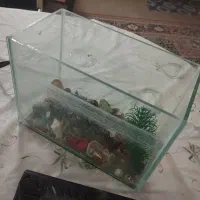 اکواریوم|ماهی|شیراز, شهرک پرواز|دیوار