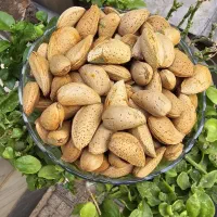 بادام شاهرودی دونه درشت درجه یک|خوردنی و آشامیدنی|تهران, سلسبیل شمالی|دیوار