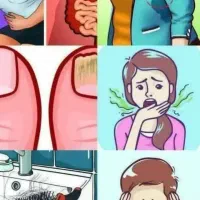 پاکسازی اصولی