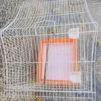 قفس|لوازم جانبی حیوانات|شهرکرد, |دیوار