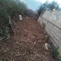 علفتراش.لیزنی.چمنزنی.علفزنی.لی زنی با دستگاه