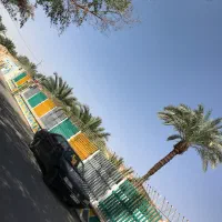 روآ دوگانه کارخانه