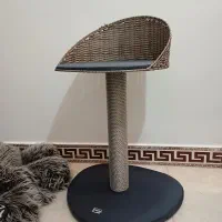 پت شاپ|لوازم جانبی حیوانات|شیراز, معالی‌آباد|دیوار