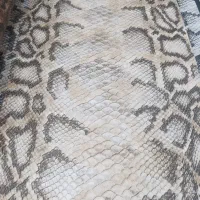 کاغذ دیواری وپوستر سه بعدی|مصالح و تجهیزات ساختمان|ملایر, |دیوار