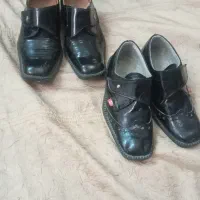 تعدادی کفش مجلسی