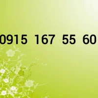 0915-167-55-60