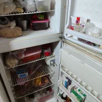 یخچال و فریزر آزمایش سالم تو برق|یخچال و فریزر|کرج, گلشهر|دیوار