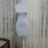 تعداد ۱۰ عدد مانکن تاجدار