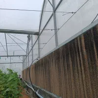 گلخانه صنعتی گالوانیزه در حد نو،طرح گاتیک3060متر|عمدهفروشی|فریمان, |دیوار