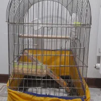 قفس بزرگ|لوازم جانبی حیوانات|پاکدشت, پاکدشت (مامازند)|دیوار