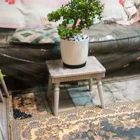 گل بنسای خرفه ای تنه داربسیارسالم وزیبا