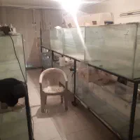 واگذاری سالن اکواریوم