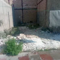 زمین فروشی فوری متراژ ۶۰ متر|فروش زمین و ملک کلنگی|قرچک, داوود آباد|دیوار