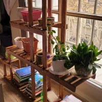 استند چوبی گلدان و کتابخانه