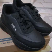 کتانی نو اسپرت