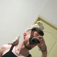 جفت عروس هلندی مولد و دستی