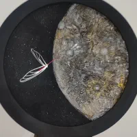 ساخت تابلو دکوراتیو|تابلو، نقاشی، عکس|زرقان, |دیوار