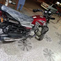 فروش دو عدد احسان شکاری صفر کیلومتر 1404