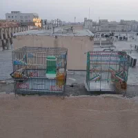 قفس دست باف