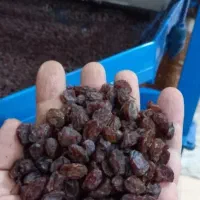 خشکبار رحیمی|خوردنی و آشامیدنی|رشت, پاره بیجار|دیوار