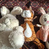 عروسک|اسباب‌بازی بچه|زنجان, |دیوار