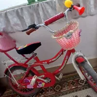 دو عدد دوچرخه شبیه هم سایز ۱۶
