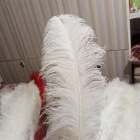 پر علم علامت