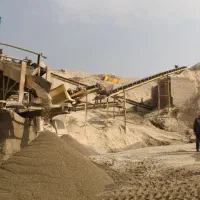 نخودی بادامی  نخودی طبیعی زیر قیمت