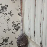 دو عدد سه تار|سازهای سنتی|کرمانشاه, |دیوار