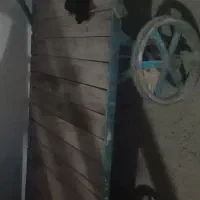 کوت عبدالله