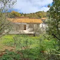 فروش فوری ویلای مسکونی در سنگده|فروش خانه و ویلا|فریم, |دیوار