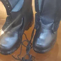 کفش فروشی|کیف، کفش، کمربند|تربت‌حیدریه, داروپخش|دیوار