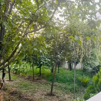 باغچه فروشی فول امکانات