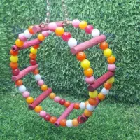 پرنده لوازم بازی و ملزومات عروس طوطی مرغ عشق|پرنده|لاهیجان, کوی زمانی|دیوار