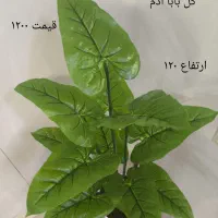 گل مصنوعی|گل مصنوعی|تهران, هاشم‌آباد|دیوار