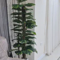 گل نو مصنوعی ارتفاع یک متر و۷۰ سانت|گل مصنوعی|ایلام, |دیوار