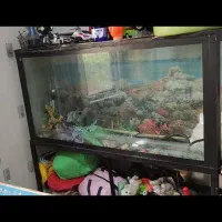 آکواریوم با همه وسایل حتی پمپ و بخاری استیل