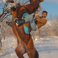 نریون سواری دار