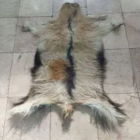 پوست بزی ، پوست بز دباغی شده