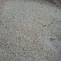 برنج ونیم دانه طارم هاشمی آمل