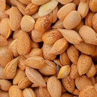 بادام زمینی نمیکی آجیل تخمه وو باقیمت باور نکردنی|خوردنی و آشامیدنی|شاهینشهر, طالقانی|دیوار