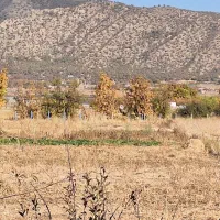 زمین کشاورزی ینگیجه|فروش زمین و ملک کلنگی|خاو و میرآباد, |دیوار