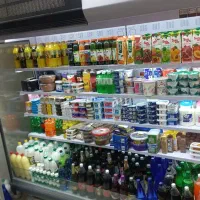 یخچال صنعتی داموس ابعاد ۲/۵