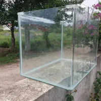 اکواریم شرکتی ضخیم|ماهی|سلمان‌شهر, |دیوار