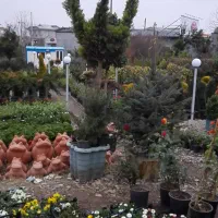 جذب نیروی کار