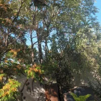 فروش ملک ۳۰۰ متری  کلنگی (سرخه حصار ده ترکمن)