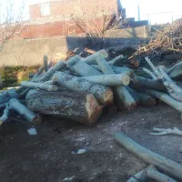 فروش ضایعات و قلمه بوینه