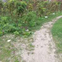 زمین در روستا|فروش زمین و ملک کلنگی|زیرآب, |دیوار