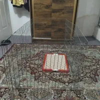 جای جای دسشویی سگ وقفس خانگی سگ