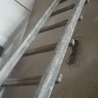 نردبان بلند